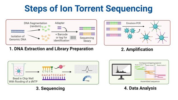 Next Generation Sequencer