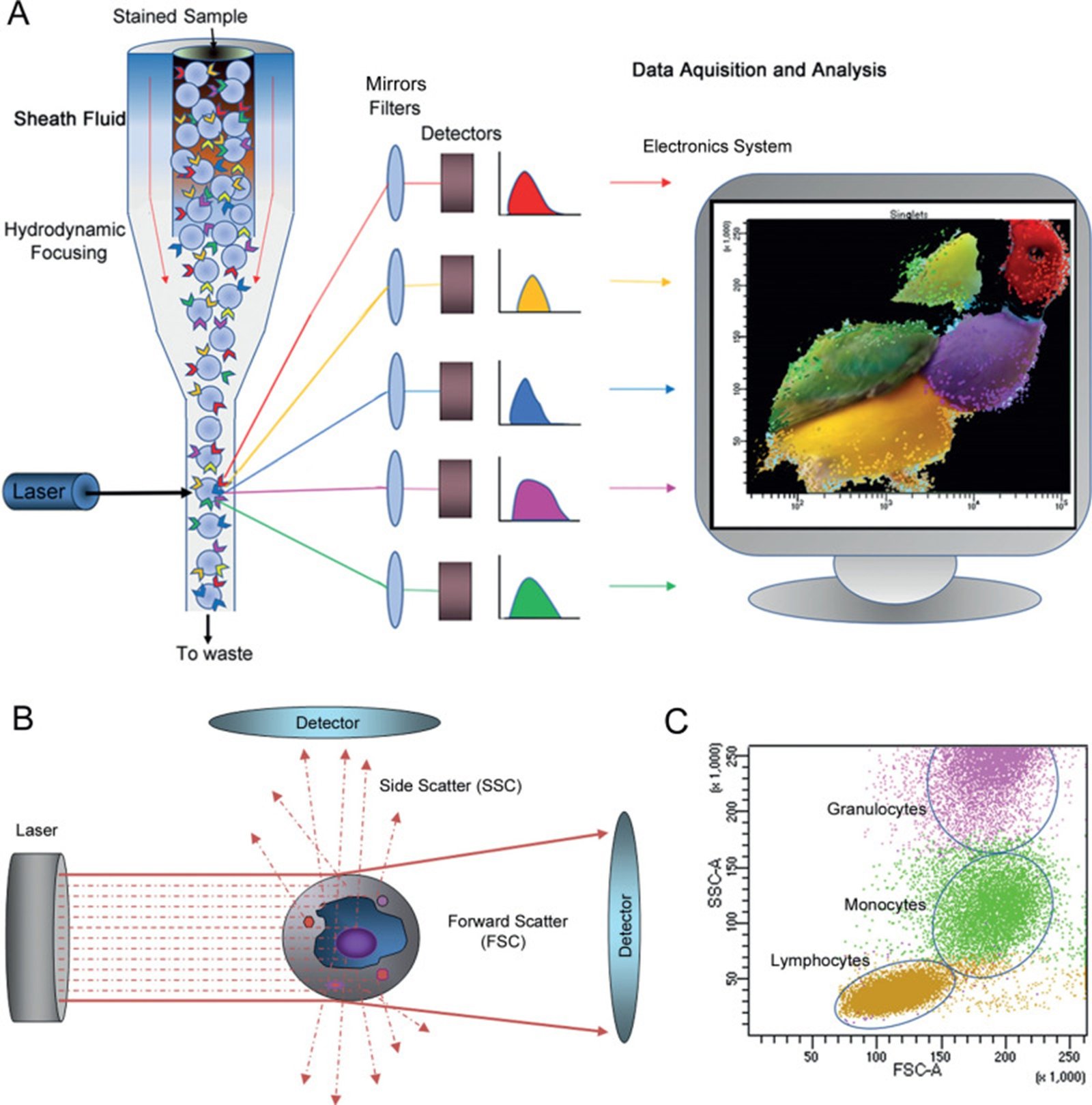 Flow Cytometry Machine