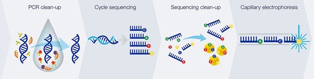 Sanger Sequencer